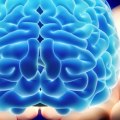 Unlocking the Power of the Subconscious Mind: How It Affects the Body